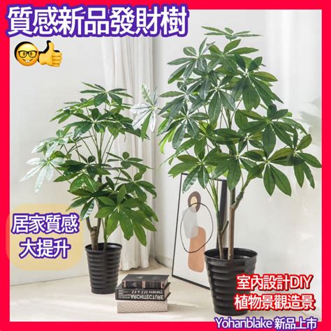 假樹風水|【家中假樹風水】假綠植的風水講究 